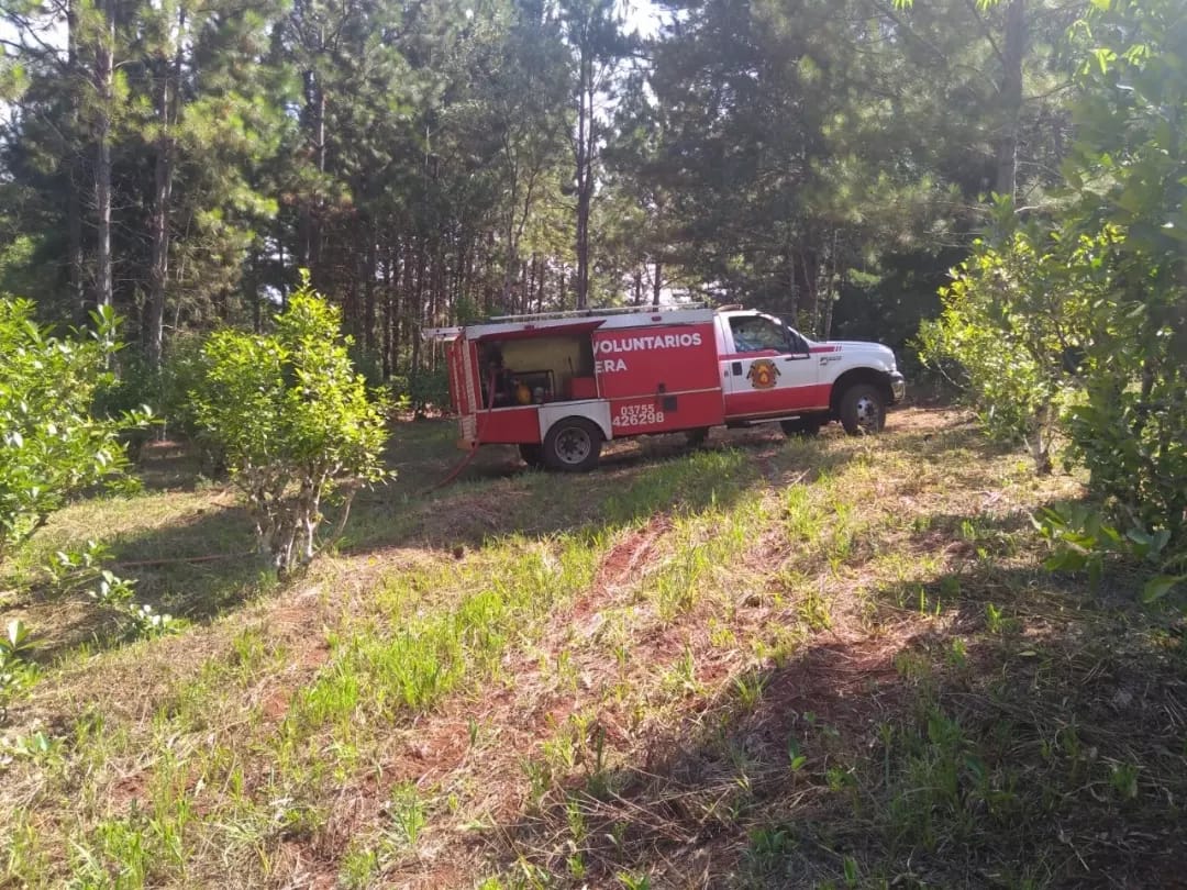 Sofocaron un incendio en un pinar