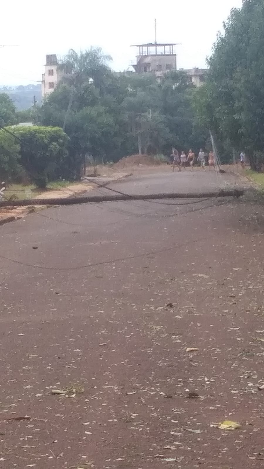 Temporal en zona centro| Los fuertes vientos causaron daños en barrios de Oberá y Leandro N. Alem 