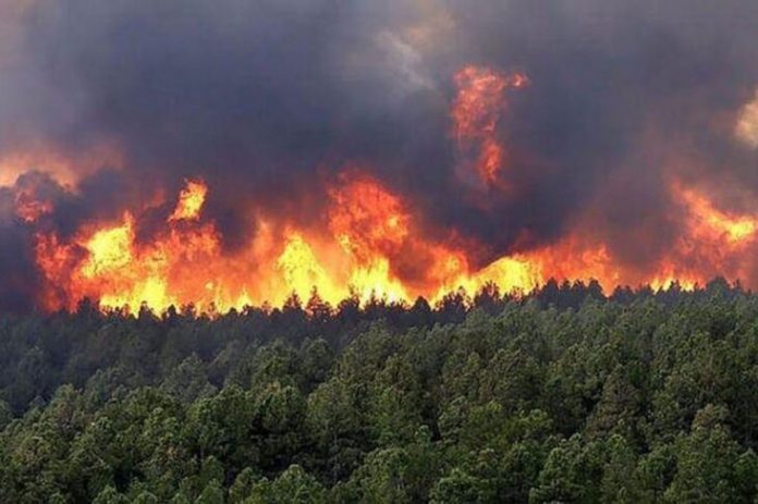 emergencia ígnea