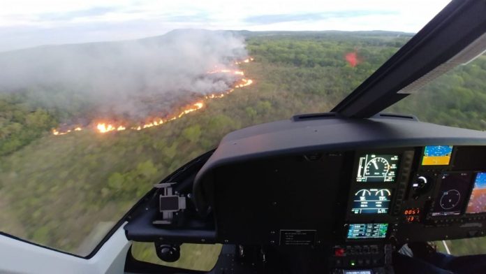 Desde la CRA reclaman ayuda urgente por los incendios forestales y la sequía en Misiones y Corrientes