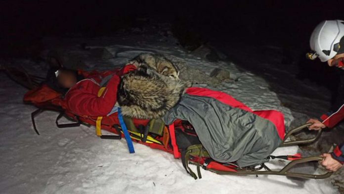 perro estuvo 13 horas recostado sobre un montañista accidentado