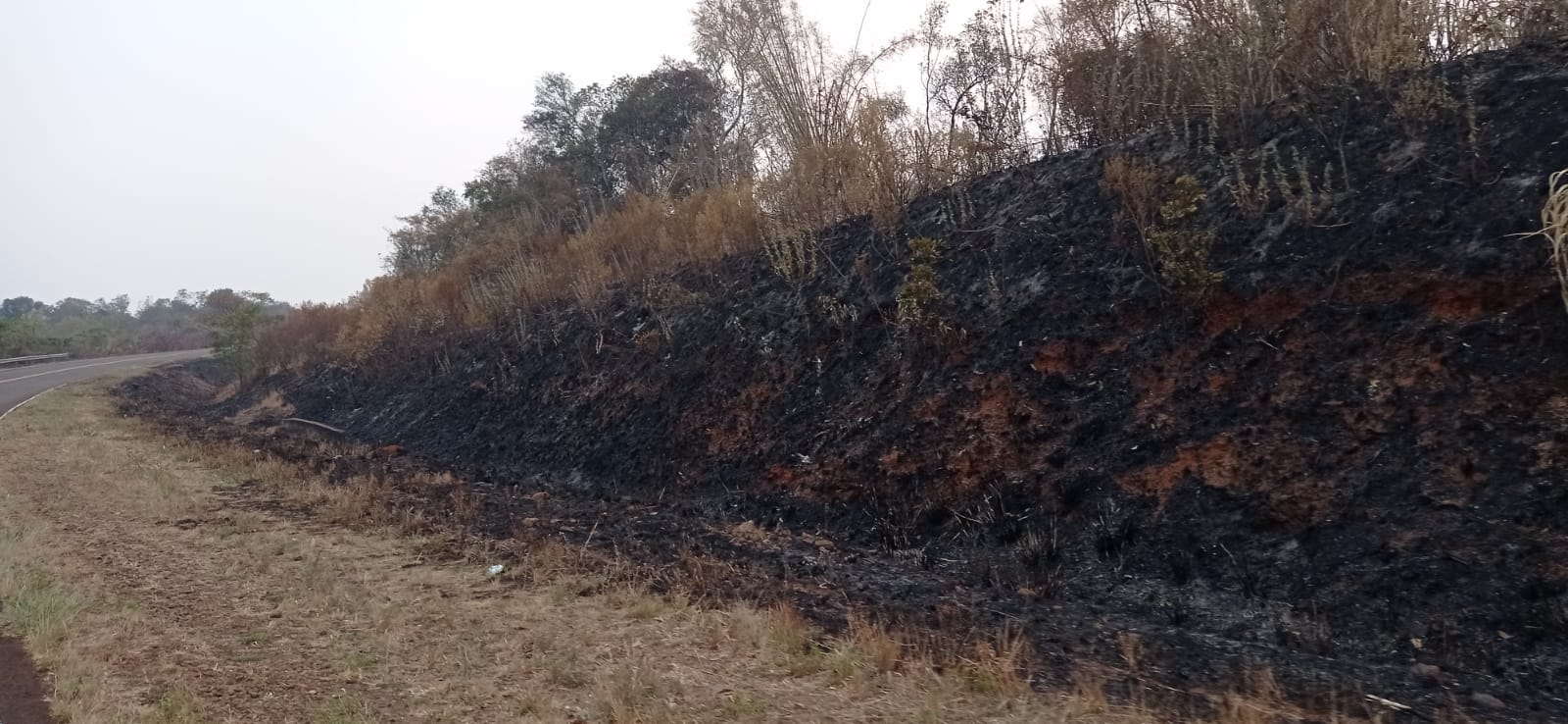 Incendios en Misiones- Cerro Corá