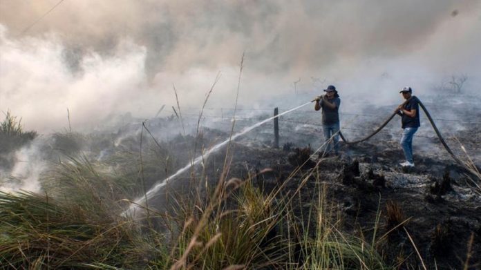 Incendios en Corrientes| Estiman en más de $26.000 millones las pérdidas provocadas por el fuego