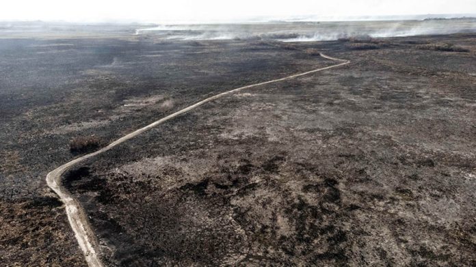 Incendios en Corrientes| Se abrieron más de 70 causas por inicios de fuego intencionales en zonas rurales