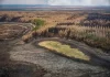 Se quemó el 40% del Parque Nacional Iberá: “El impacto sobre los animales es incalculable”, advierten desde la Fundación Rewilding