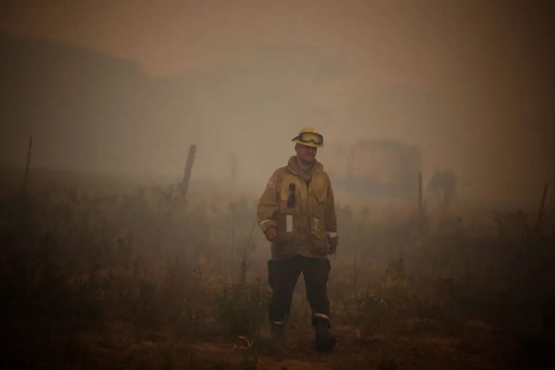Incendios en Corrientes| Estiman en más de $26.000 millones las pérdidas provocadas por el fuego 