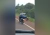 motociclista temerario