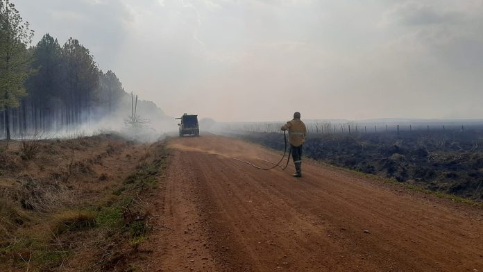 incendios en corrientes