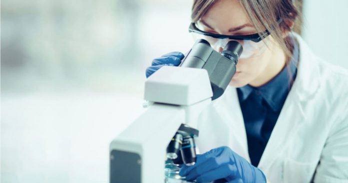 cientificos concursos públicos para que mil científicos trabajen en organismos especializados