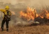 La ONU advirtió que los incendios forestales extremos serán cada vez más frecuentes