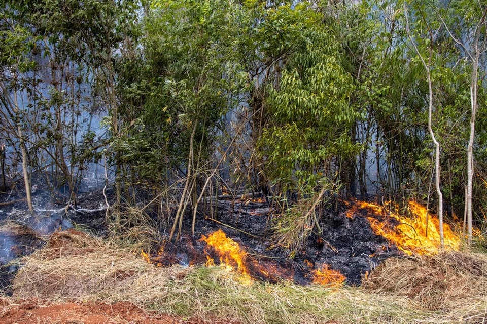 incendios en caraguatay 