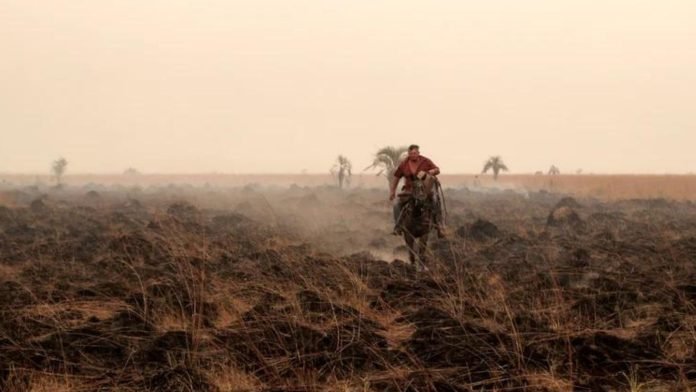 incendios en Corrientes