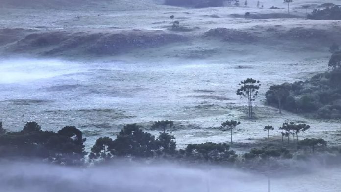 heladas en Santa Catarina