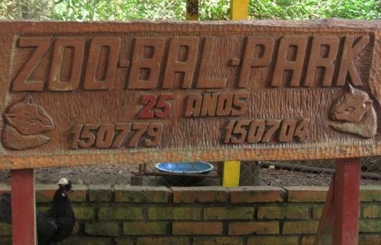 zoo-bal-park venados en el zoo bal park