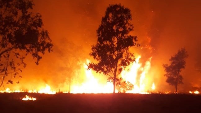 Referente de AFOA pide una autocrítica del sector forestal por los incendios  en Corrientes