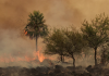 La lluvia apagó todos los incendios de Corrientes, tras dos meses de una sequía histórica