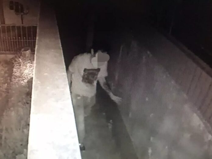 captado por las cámaras al intentar robar