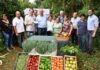 agricultura familiar misionera