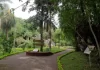El Jardín Botánico de Posadas