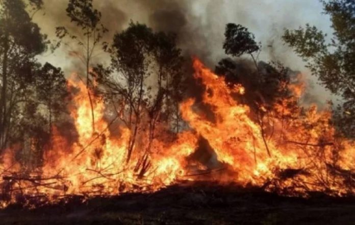 incendios en Corrientes