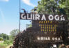 Güira Oga