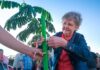 Posadas Sustentable | Turistas recorrieron la ciudad y plantaron árboles en la Costanera