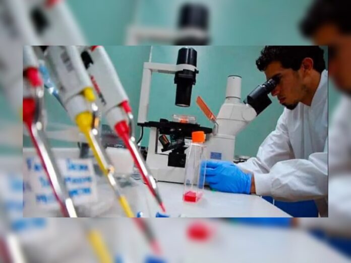 investigación y desarrollo