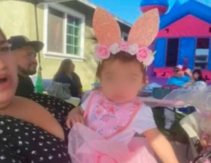 Una mujer mató a un pitbull de una puñalada para salvar a su beba