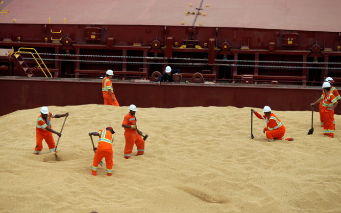 Imagen de archivo de empleados trabajando en el buque Kypros Land que está cargando soja a China en la terminal de Tiplam en Santos importaciones de soja brasileña
