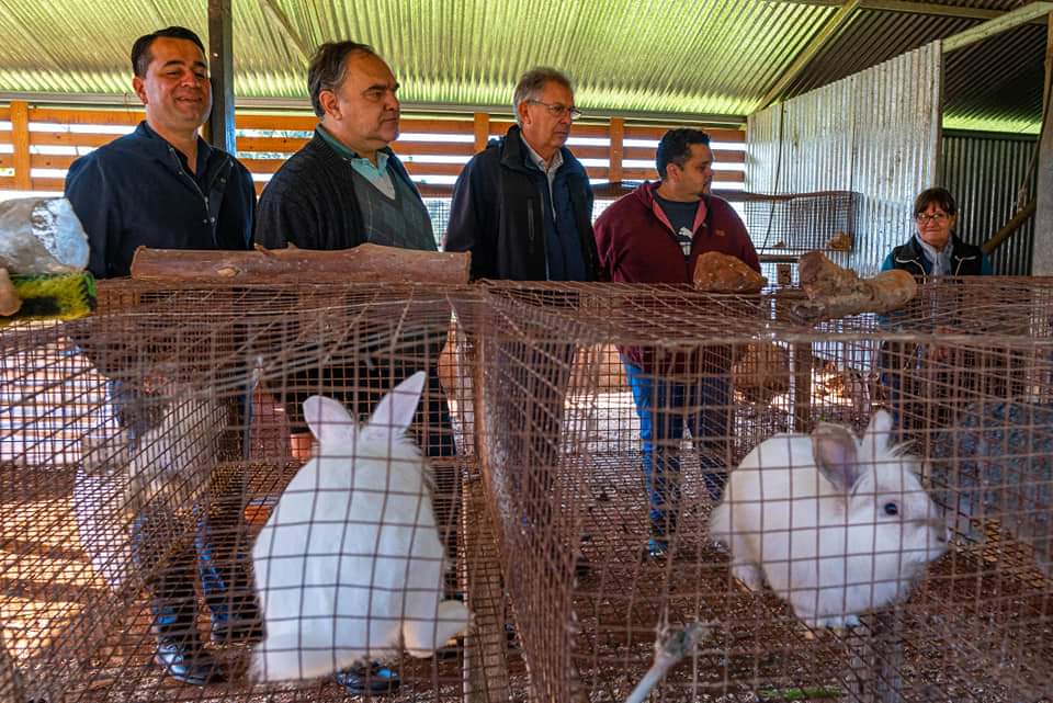 Autoridades del IFAI se reunieron con pequeños productores ganaderos y feriantes de Bernardo de Irigoyen