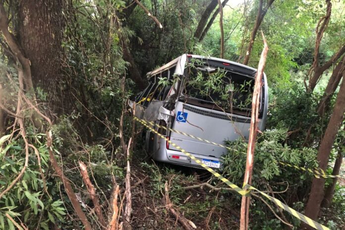 Siete muertos tras caer un ómnibus por un precipicio