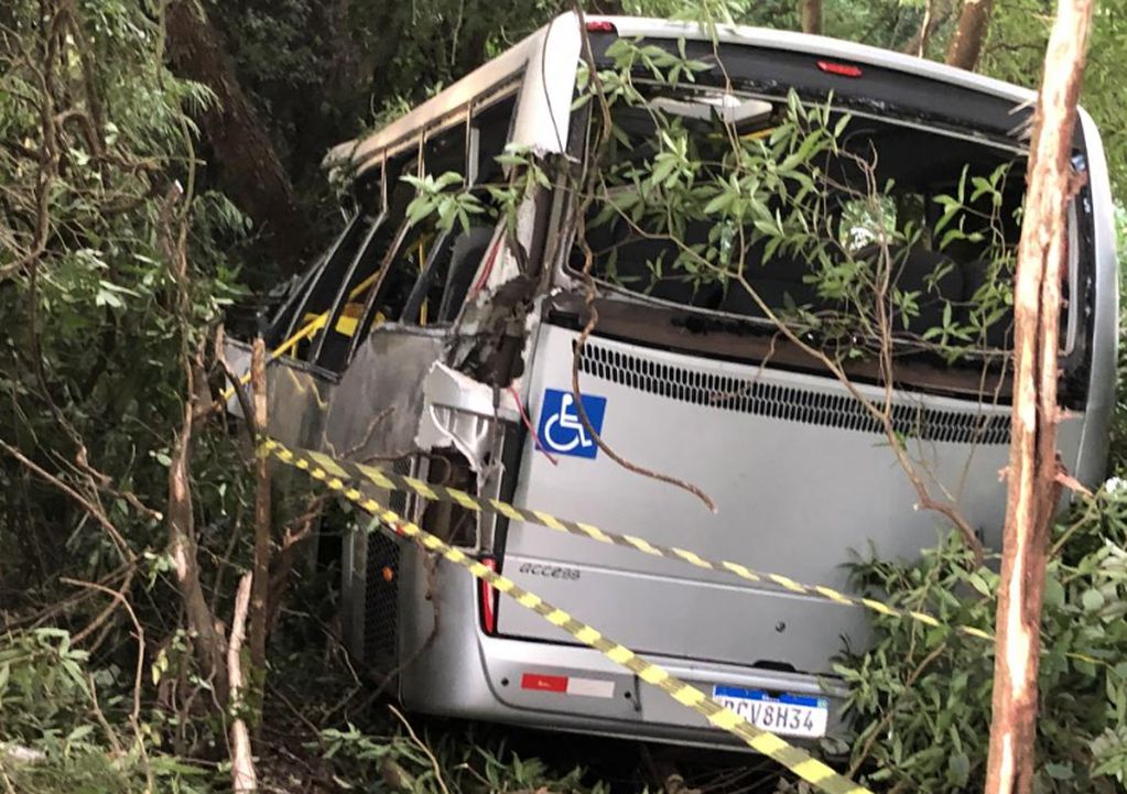 Siete muertos tras caer un ómnibus por un precipicio