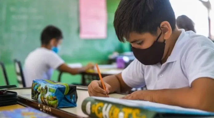 Ayuda Escolar Anual de ANSES