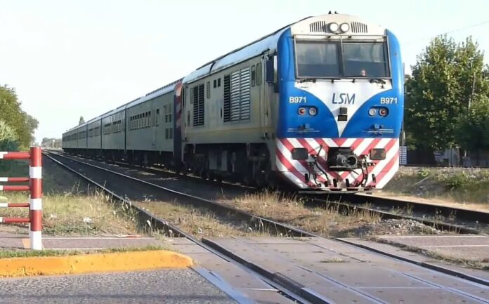 quisieron rescatar a su perro de las vías y murieron atropellados por un tren