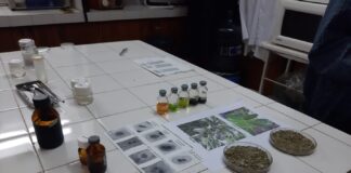 Investigación genética en plantas y peces