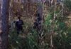 presos se escaparon en Puerto Iguazú