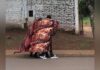 Misioneros salen a la calle con el acolchado de tigre