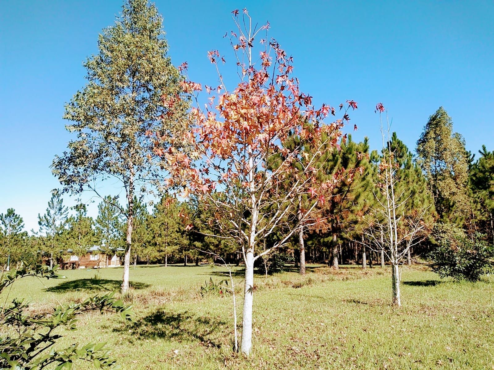 Ecolodge La Agustina