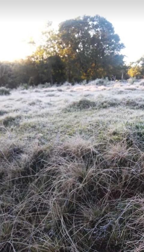 heladas en Misiones