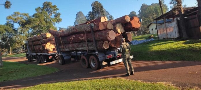 madera nativa en San Pedro