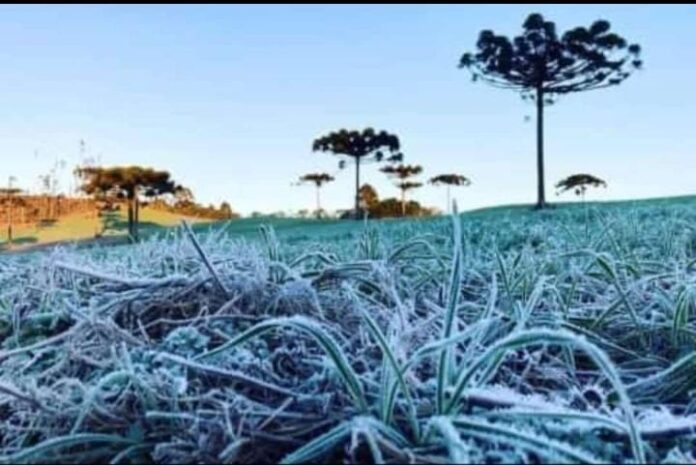 heladas en Misiones
