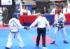 Internacional de Taekwondo