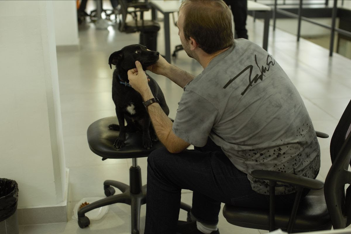 Día Mundial de Llevar al Perro al Trabajo