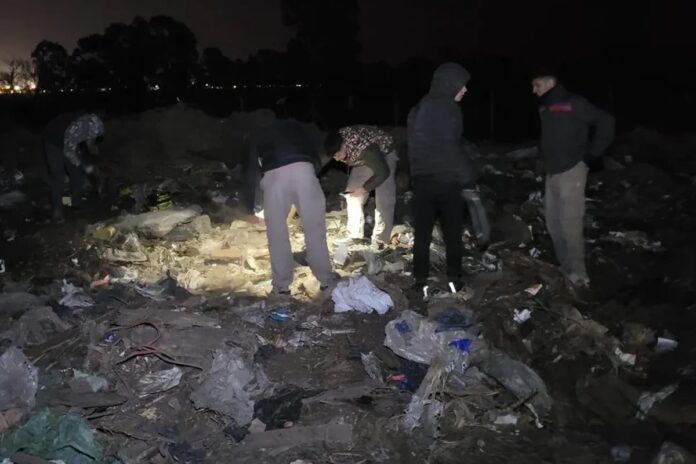 dólares que sacaron de la basura