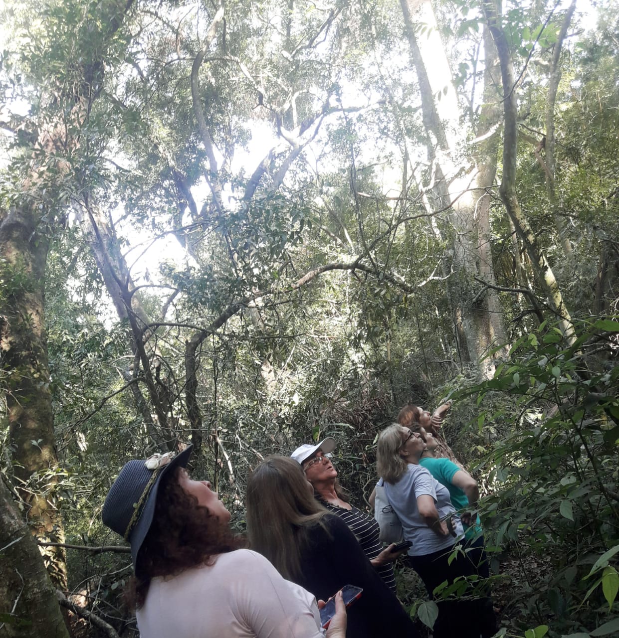 Misiones Maravilla EVT