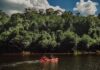 Turismo de naturaleza
