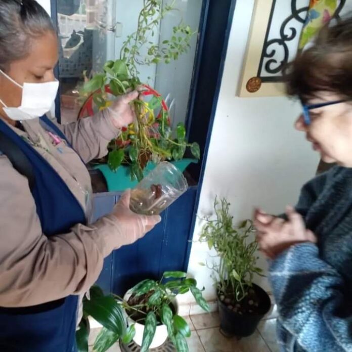 Aedes Junior - Kit Fattoria In Ceramica: Il Modellismo Statico Che Unisce Genitori E Figli