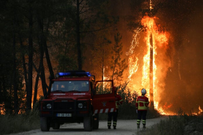 Continúa la ola de calor en Europa y crece la preocupación por los graves  incendios forestales