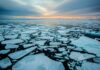 El Ártico se calienta cuatro veces más rápido que el resto del planeta