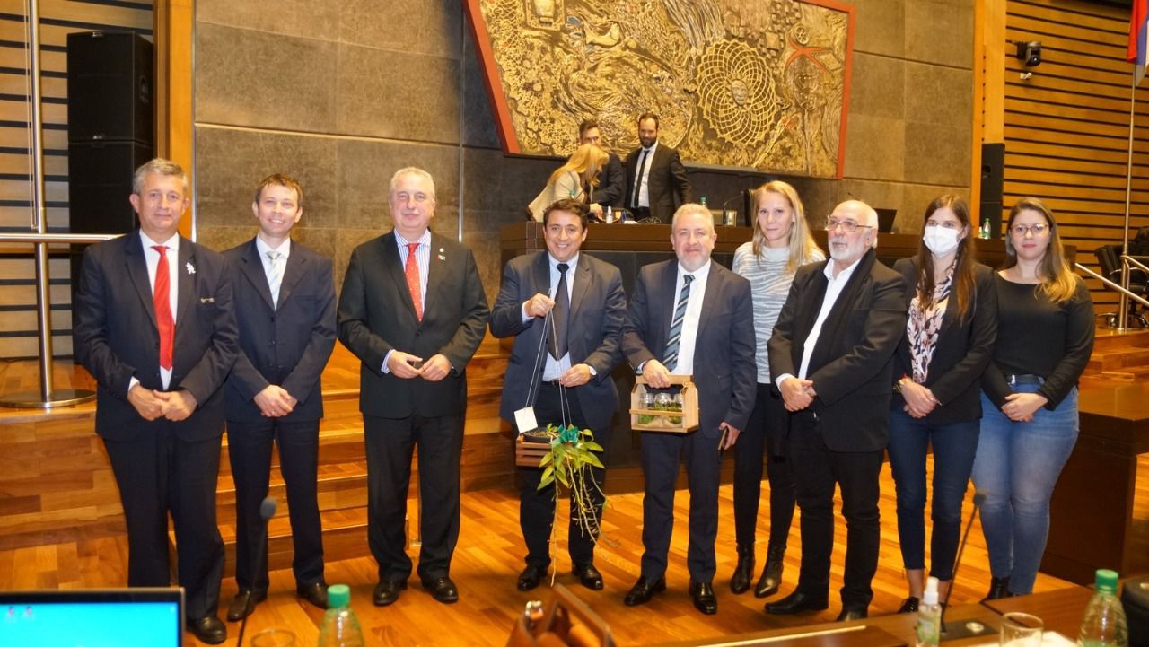 Orquídeas en Misiones